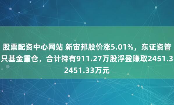 股票配资中心网站 新宙邦股价涨5.01%，东证资管旗下6只基金重仓，合计持有911.27万股浮盈赚取2451.33万元